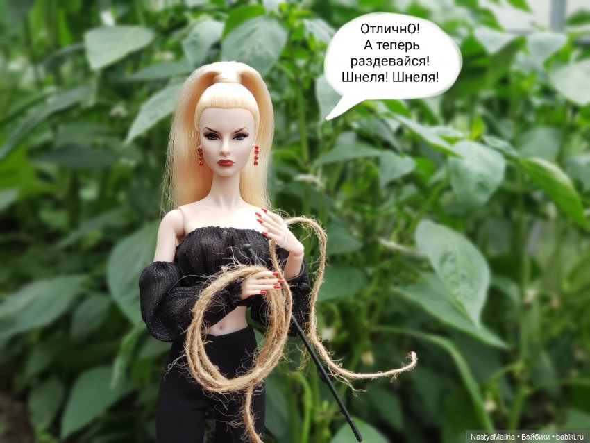 Дача 2023 ( в парнике - 2 часть ) (фото 3)