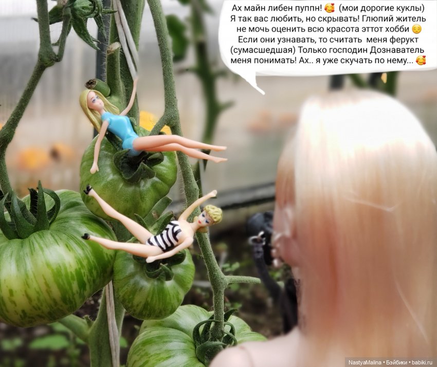 Дача 2023 ( в парнике - 1 часть ) (фото 6)