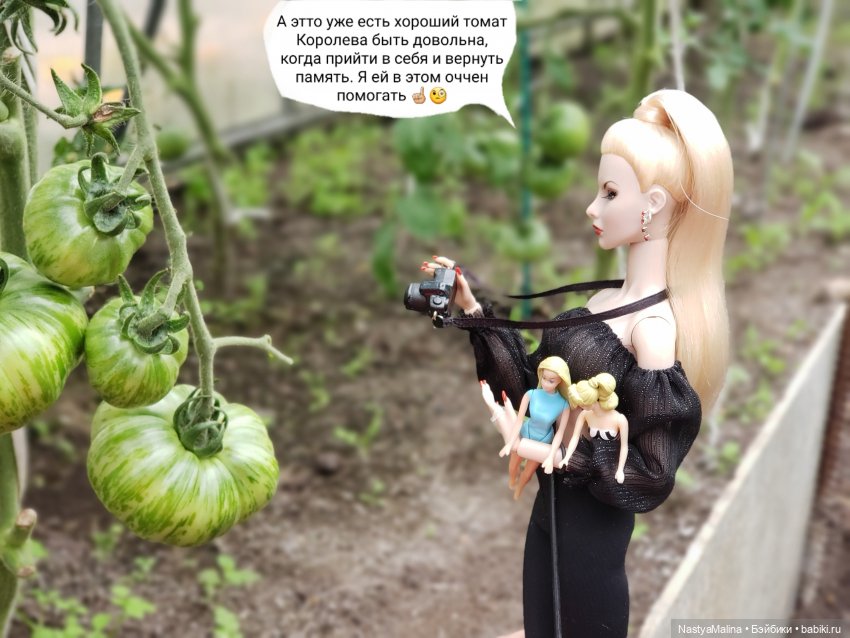 Дача 2023 ( в парнике - 1 часть ) (фото 3)