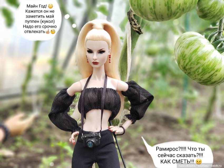 Дача 2023 ( в парнике - 1 часть ) (фото 10)