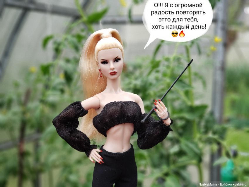 Дача 2023 ( в парнике - 2 часть ) (фото 10)