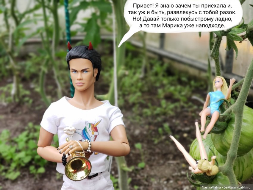 Дача 2023 ( в парнике - 1 часть ) (фото 9)