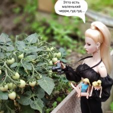 Дача 2023 ( в парнике - 1 часть )