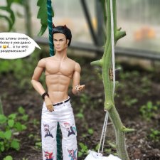 Дача 2023 ( в парнике - 2 часть )