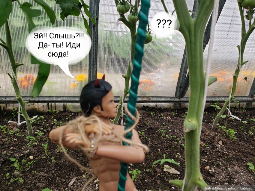 Дача 2023 ( в парнике часть 3) (фото 5)