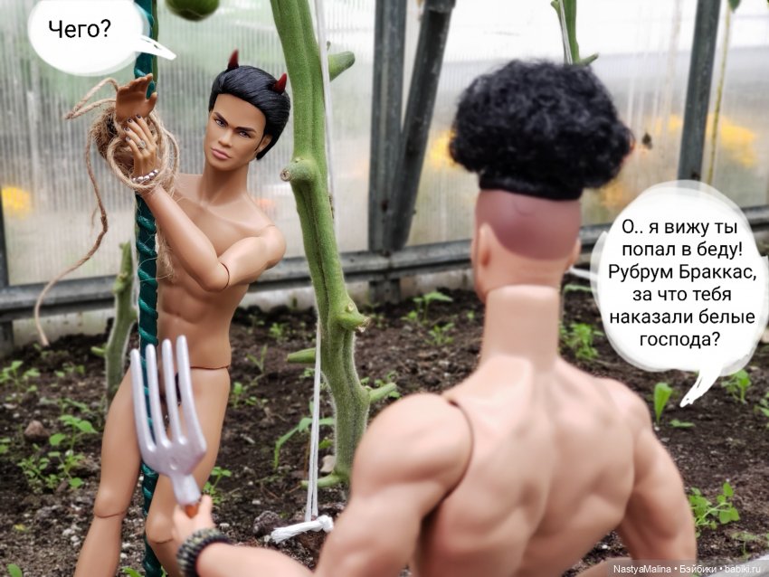 Дача 2023 ( в парнике часть 3) (фото 9)