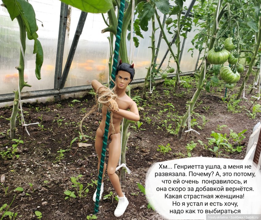 Дача 2023 ( в парнике часть 3)