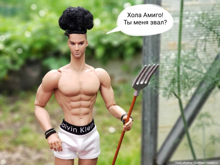 Дача 2023 ( в парнике часть 3) (фото 7)