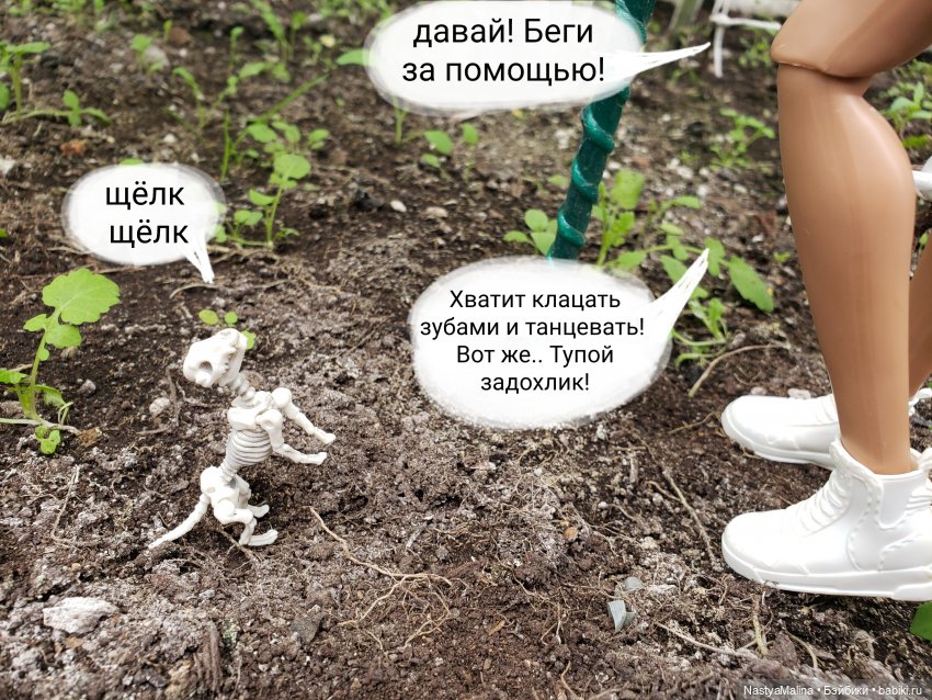 Дача 2023 ( в парнике часть 3) (фото 3)