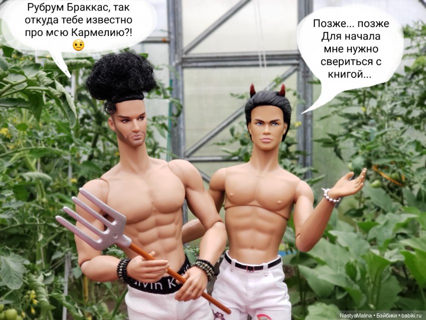 Дача 2023 ( в парнике часть 3)