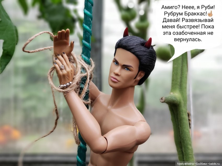 Дача 2023 ( в парнике часть 3) (фото 8)