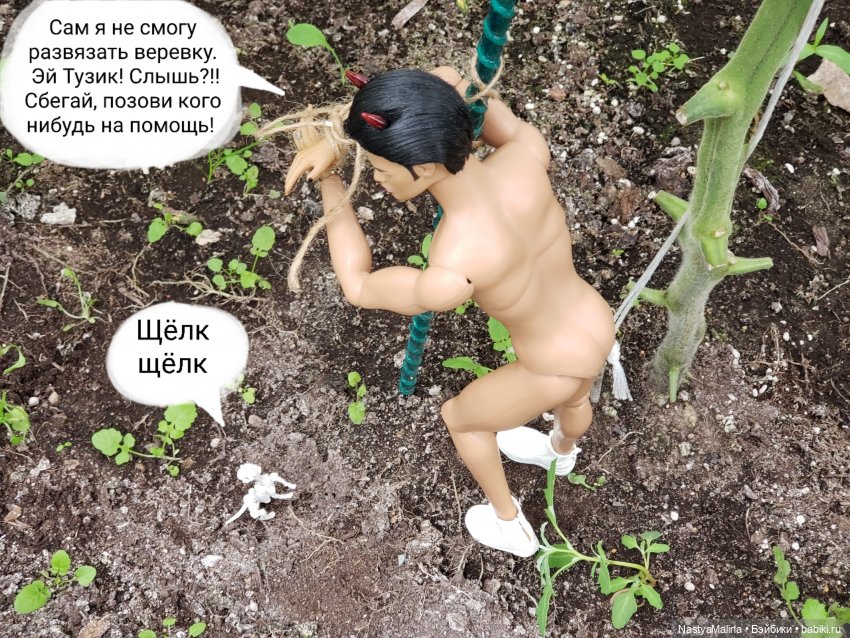 Дача 2023 ( в парнике часть 3) (фото 2)