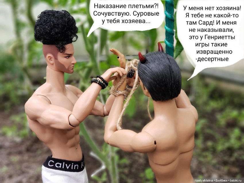 Дача 2023 ( в парнике часть 3)