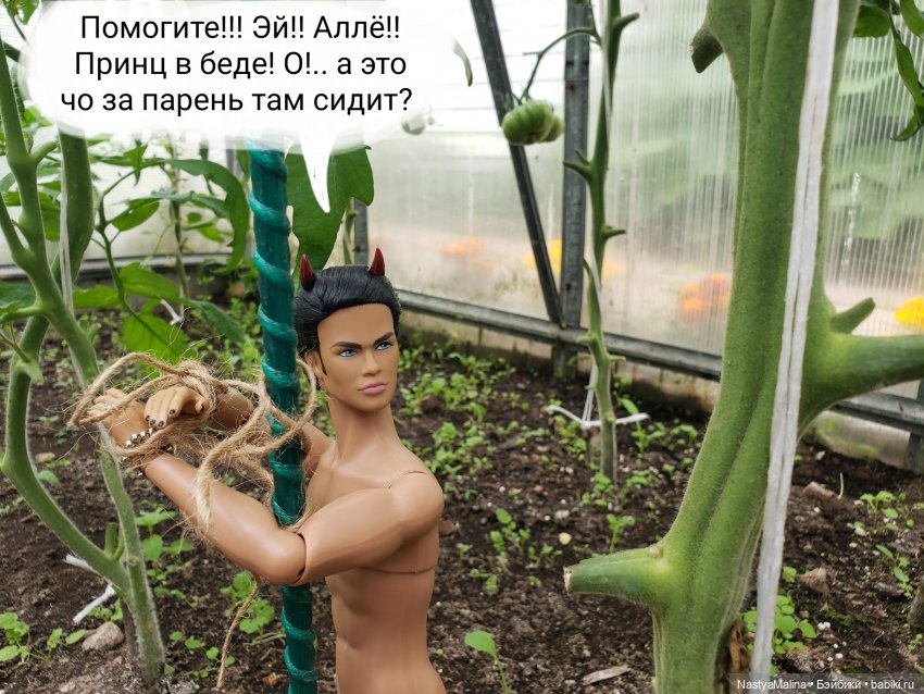 Дача 2023 ( в парнике часть 3) (фото 4)