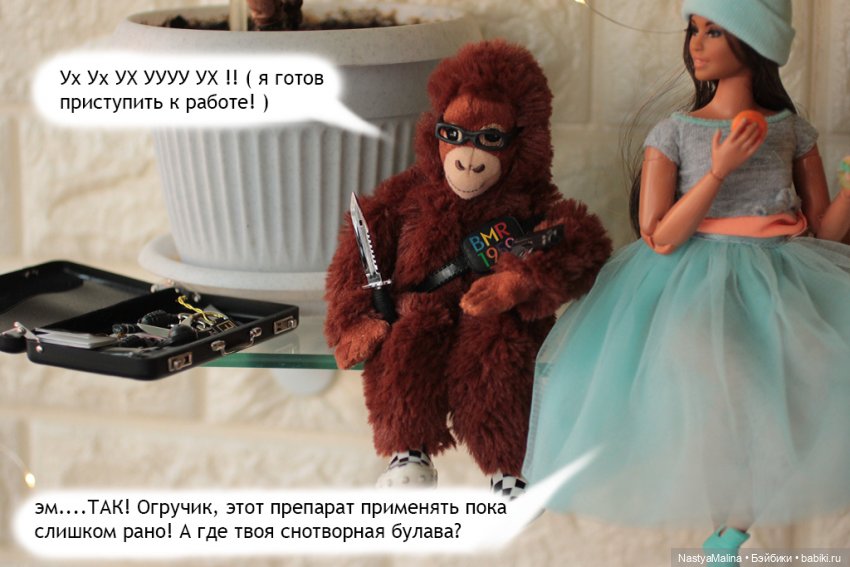 Весна пришла в Королевство