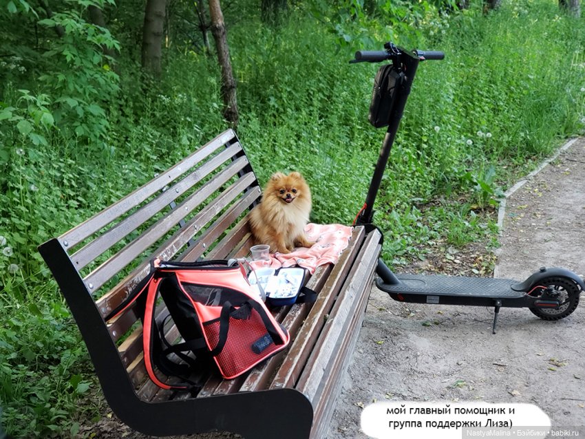 Новенькая — Куклы Integrity Toys (Интегрити): Poppy Parker