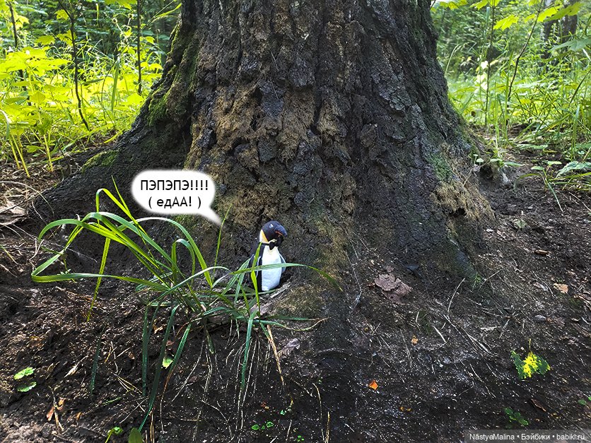 Летние деньки (потеряшка - часть 1) (фото 7)