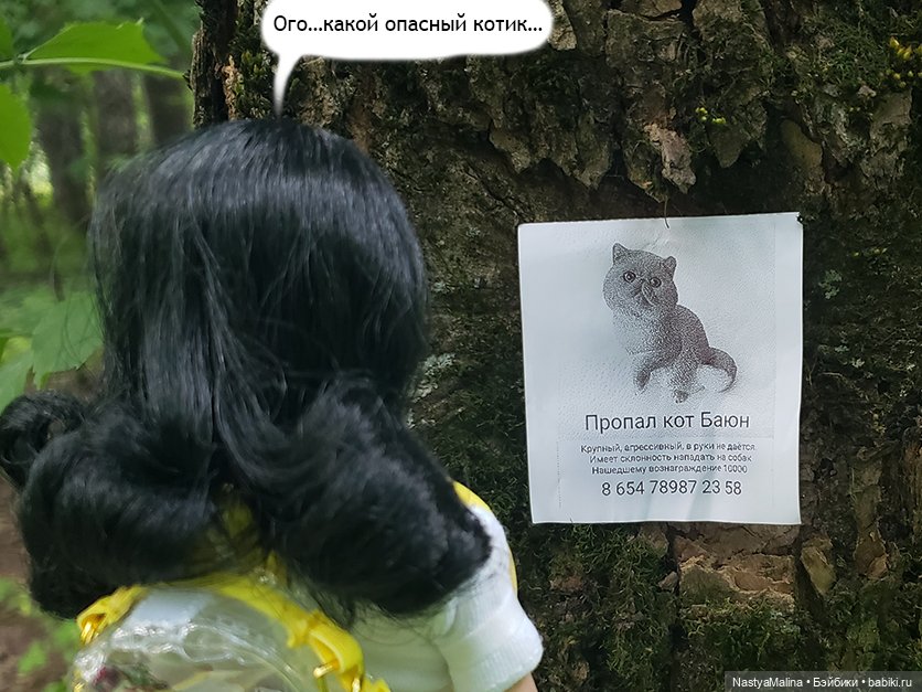 Летние деньки (потеряшка - часть 1) (фото 6)