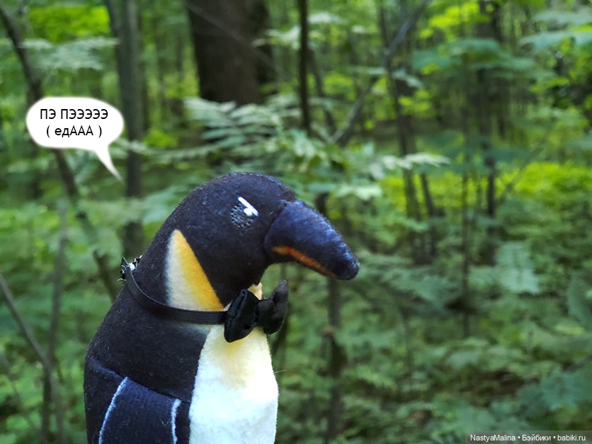 Летние деньки (потеряшка - часть 1) (фото 10)