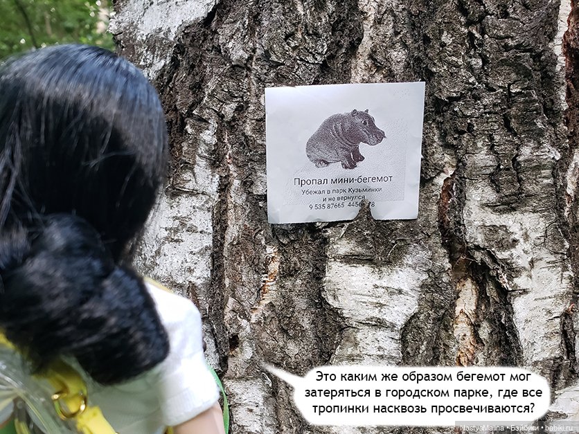 Летние деньки (потеряшка - часть 1)