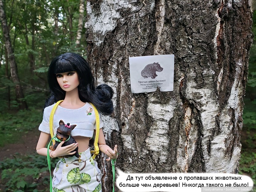 Летние деньки (потеряшка - часть 1)