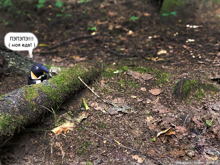 Летние деньки (потеряшка - часть 1)