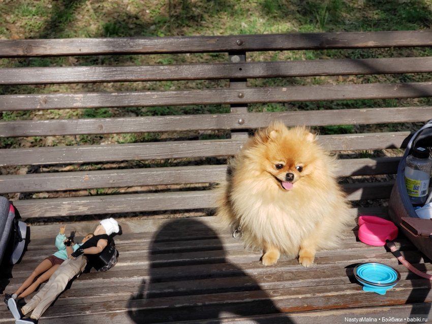 Всем привет))) — Куклы Integrity Toys (Интегрити): Poppy Parker