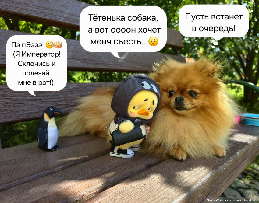 Коротко о последних событиях