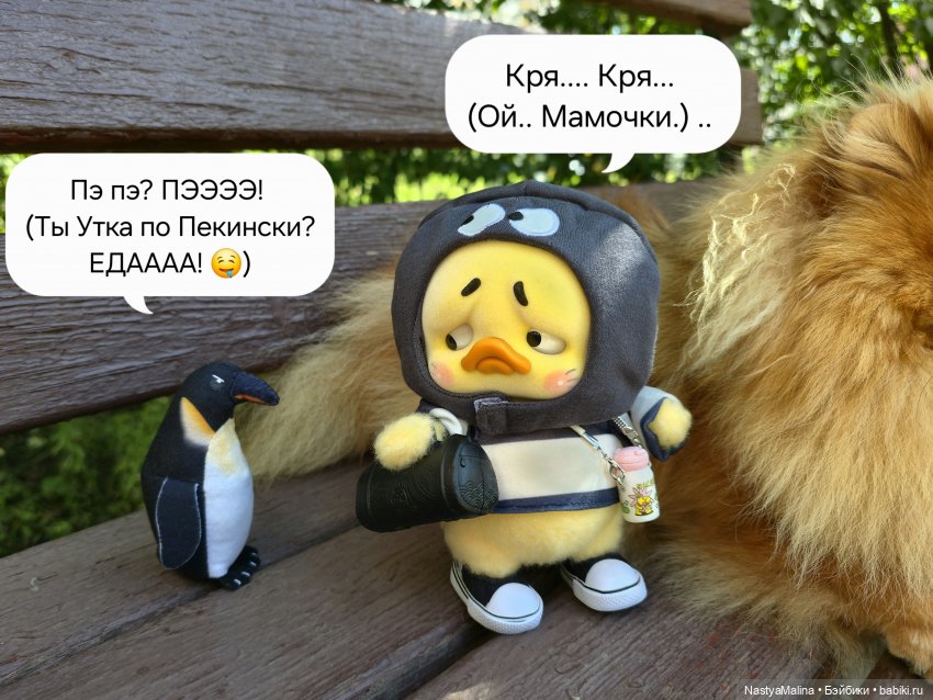 Коротко о последних событиях