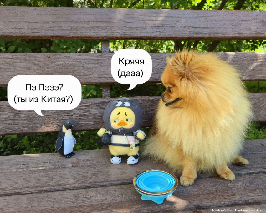 Коротко о последних событиях