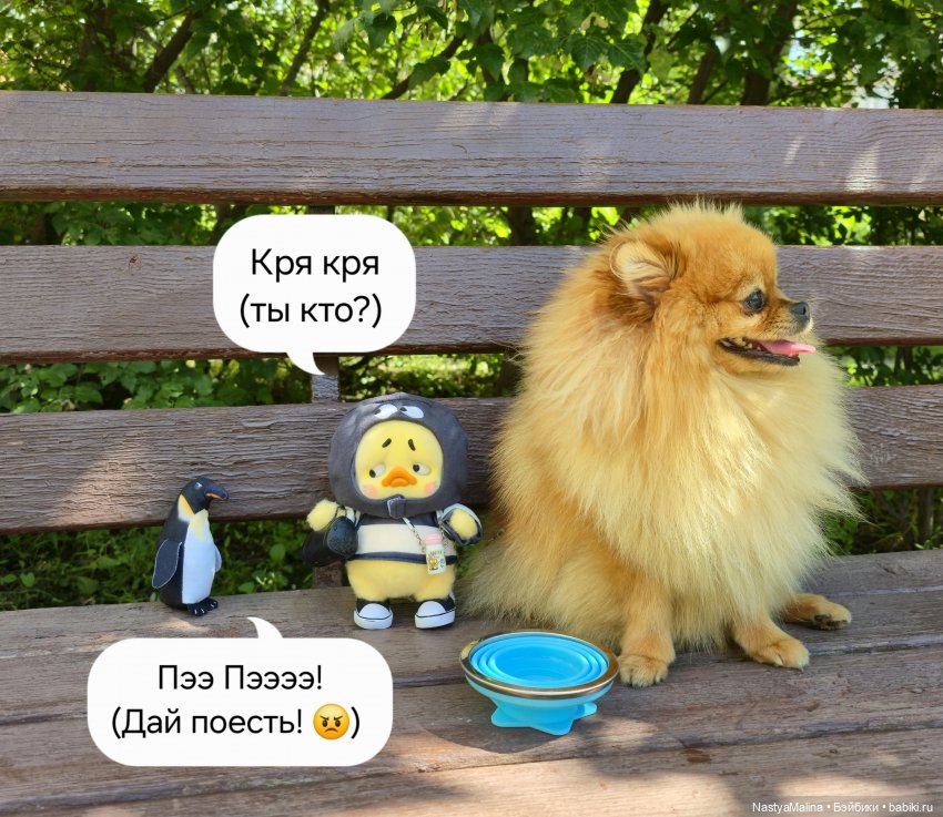 Коротко о последних событиях