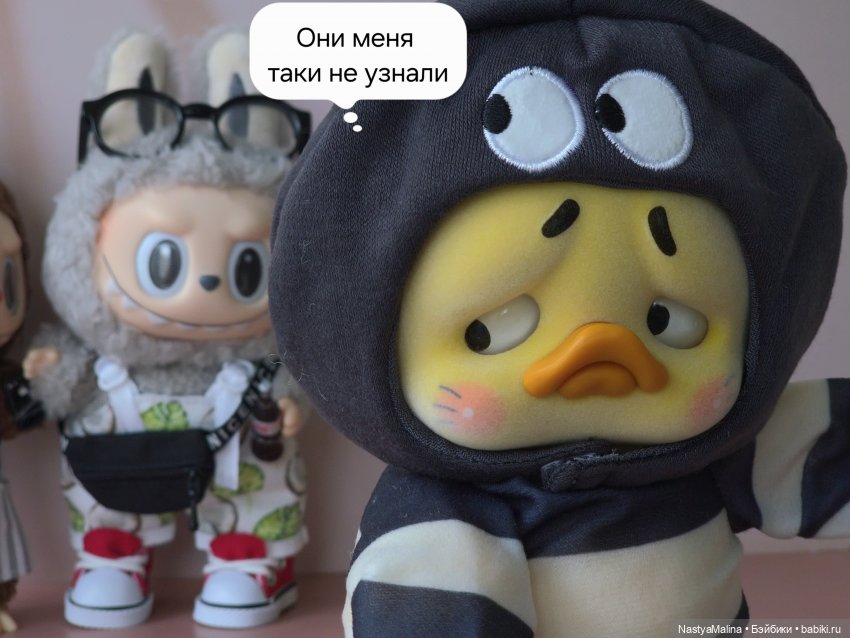 Коротко о последних событиях (фото 9)