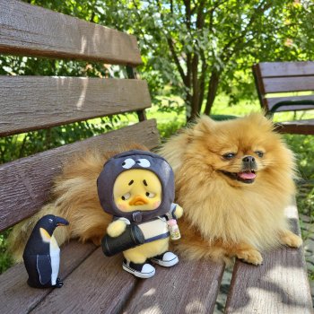 Коротко о последних событиях