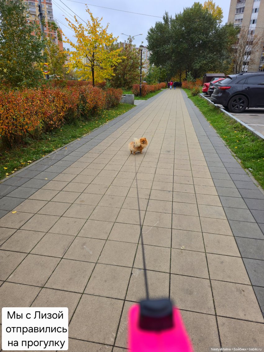 Прогулка Туристы и ВИПа) — Игрушки Labubu (Лабубу) и The Monsters: Pop Mart (фото 2)