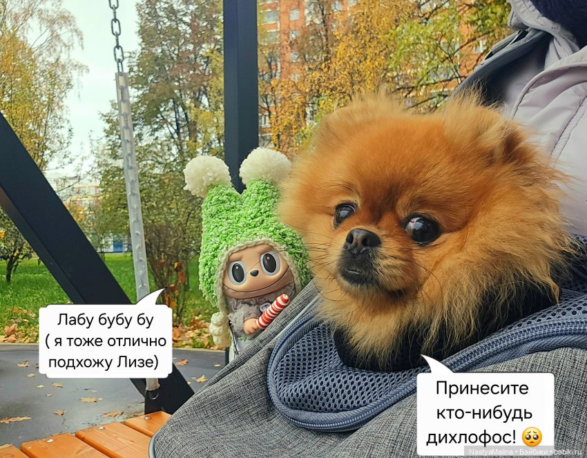 Прогулка Туристы и ВИПа) — Игрушки Labubu (Лабубу) и The Monsters: Pop Mart