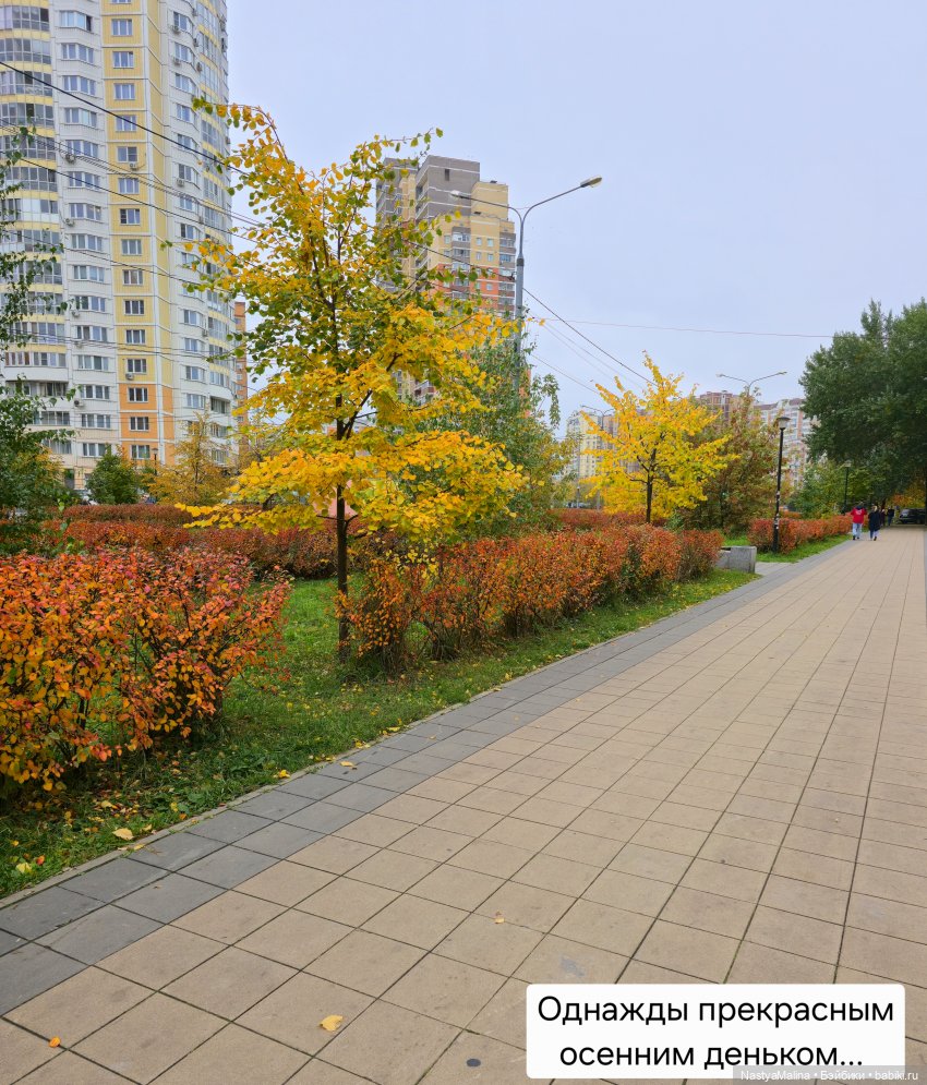 Прогулка Туристы и ВИПа) — Игрушки Labubu (Лабубу) и The Monsters: Pop Mart