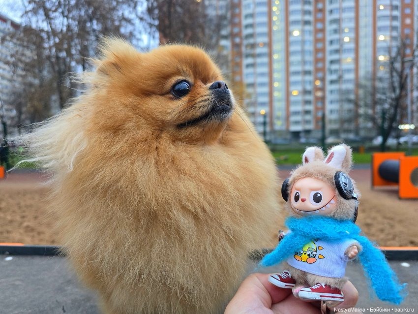 Микробыш Пин. ( и снова Лабуба) (фото 9)