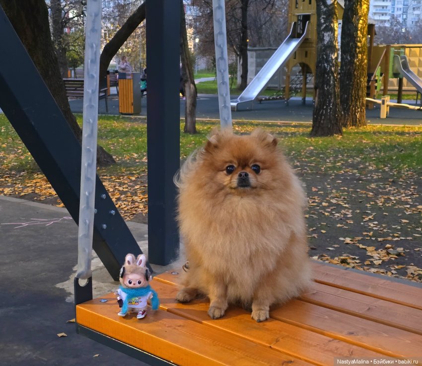 Микробыш Пин. ( и снова Лабуба)