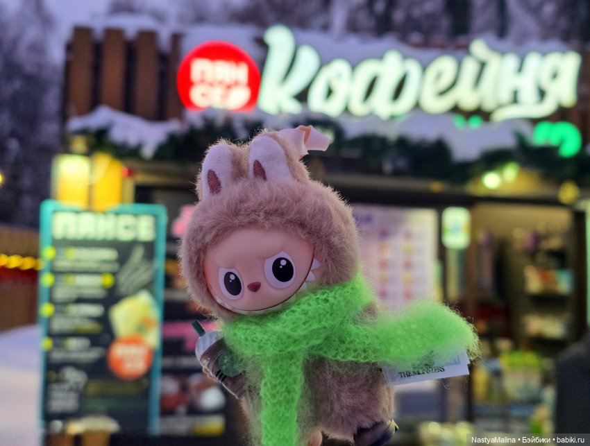 Микробыш Пин на прогулке) (фото 8)