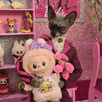 Doll Market (часть последняя)