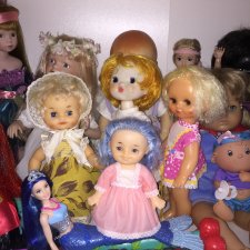 Летние найденыши приведены в порядок