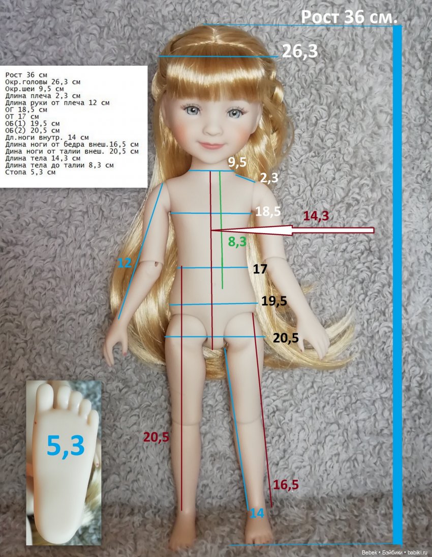 Сара Ruby Red Fashion Friends. Обзор, сравнение с Кэрол Paola Reina и мерки