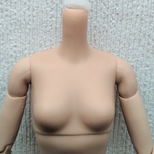 Шарнирное тело от Barbie йоги Неко