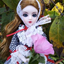 Солнечный день