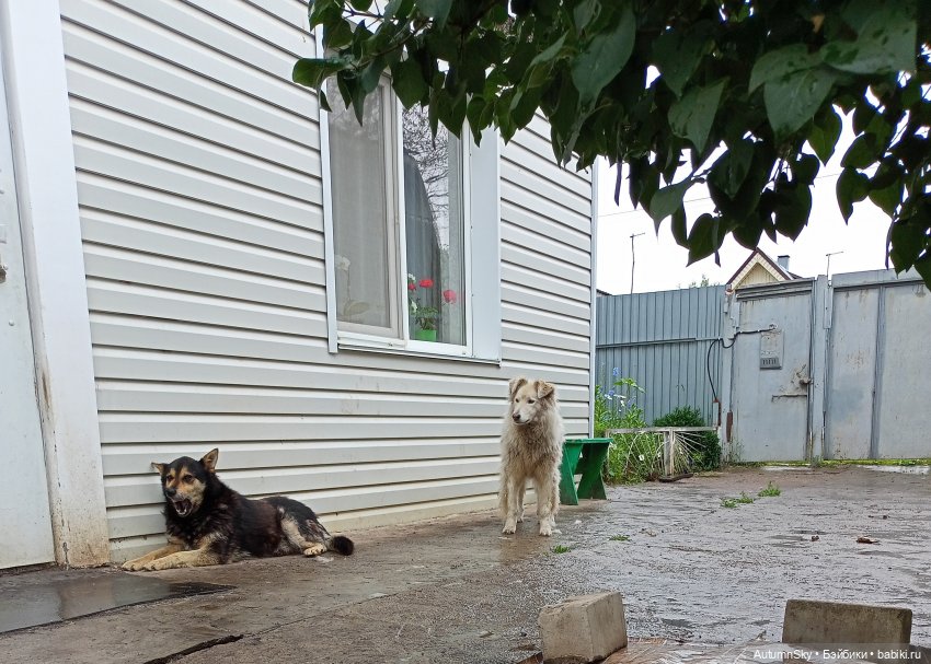 Яркое лето с J-Doll — Куклы J