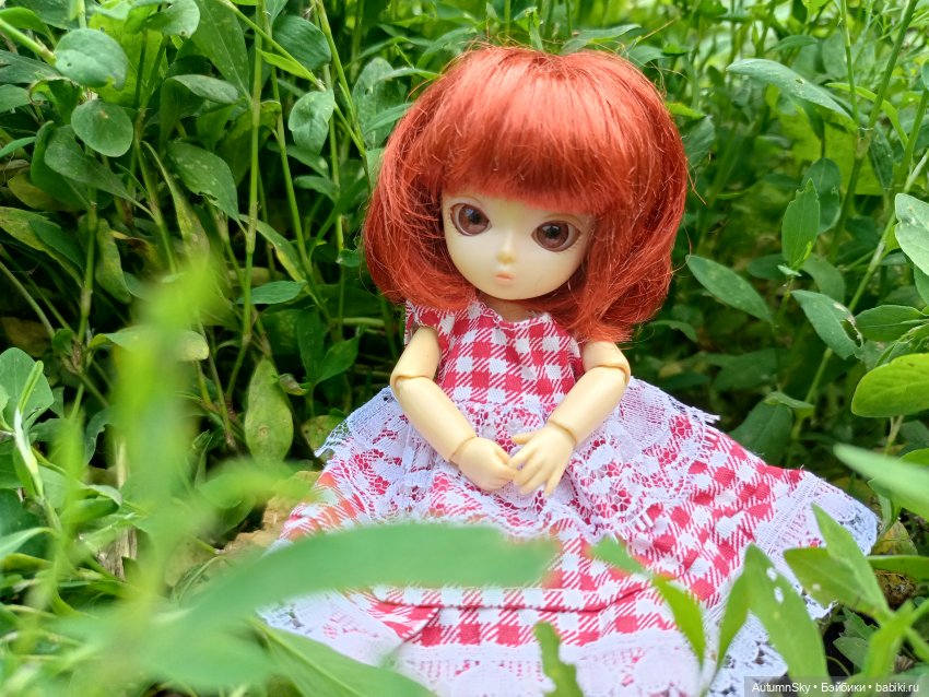 Куклы Ai - души цветов — Куклы Ai Doll и Pangju (Панджу): Tiny BJD (БЖД)