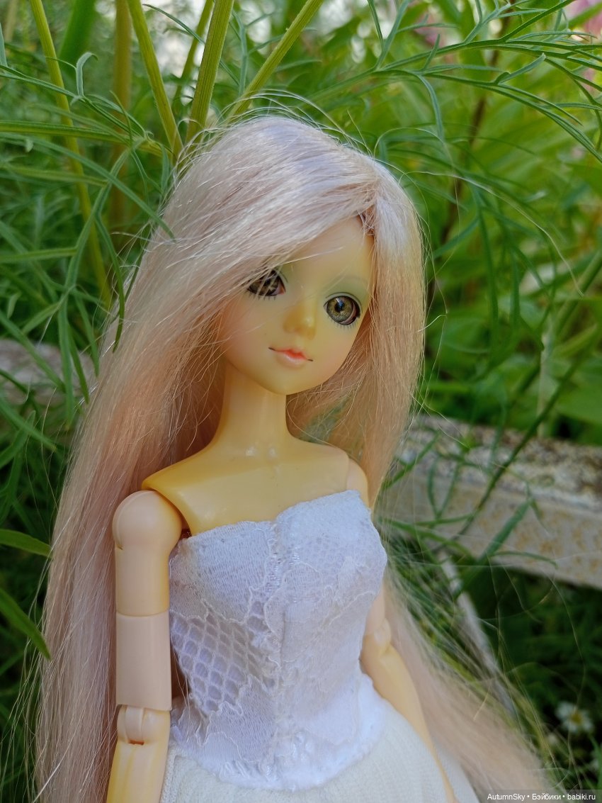 Один день на свежем воздухе