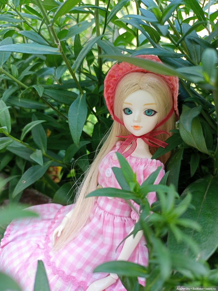 Один день на свежем воздухе