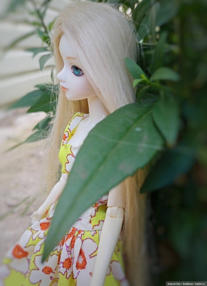 Один день на свежем воздухе