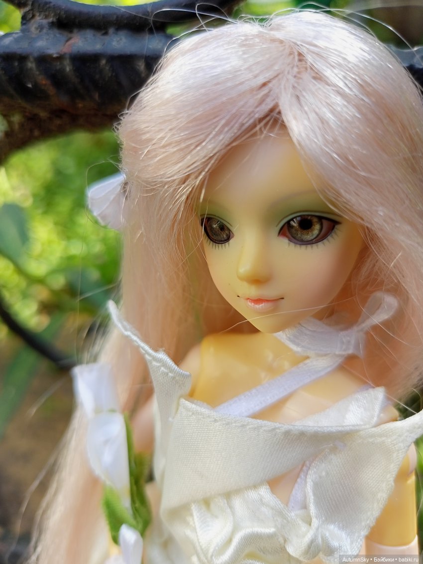 Один день на свежем воздухе (фото 4)